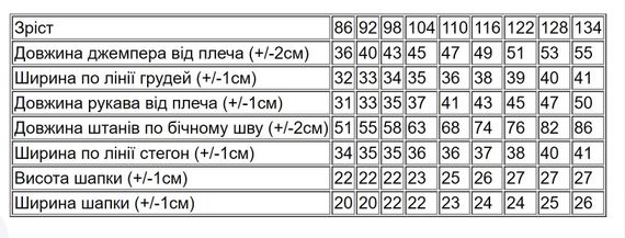 Утеплений костюм для хлопчика (світшот, штани, шапка)  з принтом Носи своє 110 Смарагдовий​ (p-14767-212192) | Зображення 2