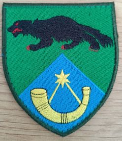 Шеврон 61 бригада