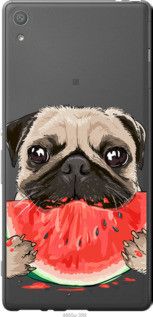 Чохол для Sony Xperia XA F3112 з силікону FCh_085468