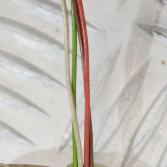 Дзеркало ліве BMW E60 2003-2009 електричне 4 pin Дзеркало ліве БМВ е60 4 піна F0123115 F0123113 | Зображення 7