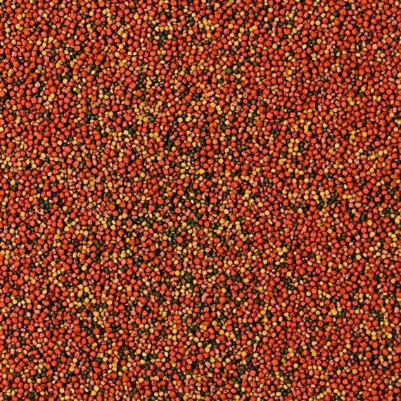 Корм Tropical Supervit Granulat для акваріумних риб гранули 10 г | Зображення 1