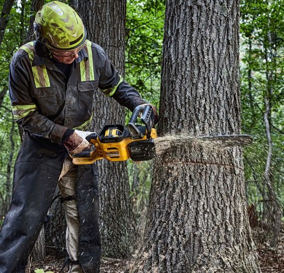 Акумуляторна міні-пилка DeWalt з АКБ та ЗП DCMCS575X1 | Зображення 1