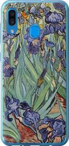 Чехол на Samsung Galaxy A20 2019 A205F Винсент Ван Гог. Ирисы из пластика FCh_048200