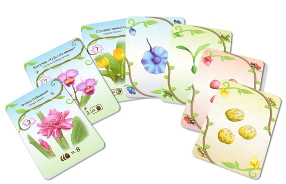 Настільна гра ОВВА. Орхідеї! (Oh my. Orchids!) | Зображення 2