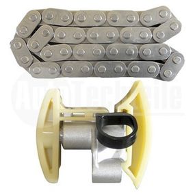 Комплект цепи ГРМ Citroen Berlingo 1.6 HDi 05-/ Jumpy 1.6 HDi 07-16/ C2-C5 1.6 HDi 05-/ Peugeot Expert/Partner 1.6 HDi 05-/ Fiat