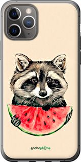 Чохол на iPhone 11 Pro Єнотик з кавуном "4605t-1788-2448"