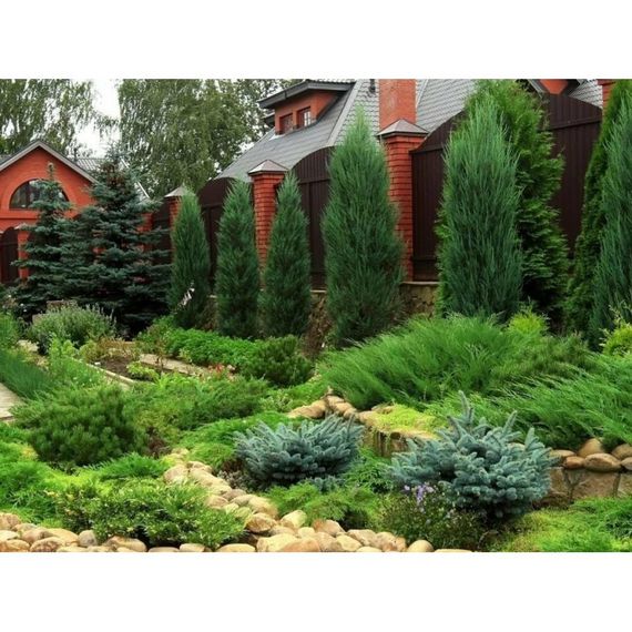 Добриво-підкислювач Майстер Флорколор 25 г | Зображення 1