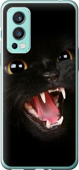 Чехол на OnePlus Nord 2 Чёрная кошка "932u-2468-17620"