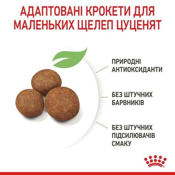 Сухий корм Royal Canin MAXI PUPPY для цуценят собак великих порід 1 кг | Зображення 5