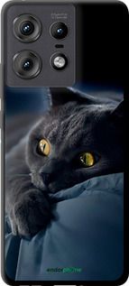 Чохол на Motorola Edge 50 Pro 5G Димчастий кіт "825b-3710-2448"