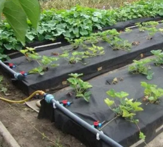 Стартовый кран с резинкой для ленты капельного полива | Зображення 3