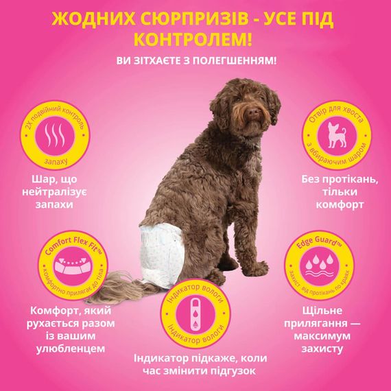 Одноразовые памперсы для собак-самок OUT! Comfort Dri Disposable Fashion Diapers, 46 - 63 см, 42 шт | Зображення 3