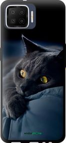 Чохол на Oppo A73 Димчастий кіт "825b-1379-2448"