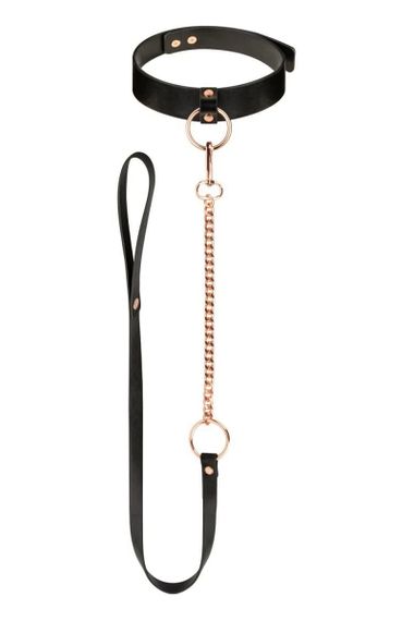 Нашийник з повідцем Rosy Gold Collar with Leash Чорний One Size