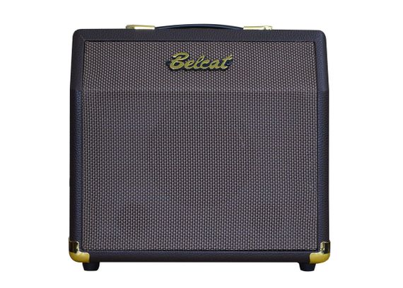 Комбопідсилювач для акустичних інструментів Belcat Acoustic 15C