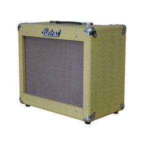 Комбопідсилювач гітарний Belcat V25RG
