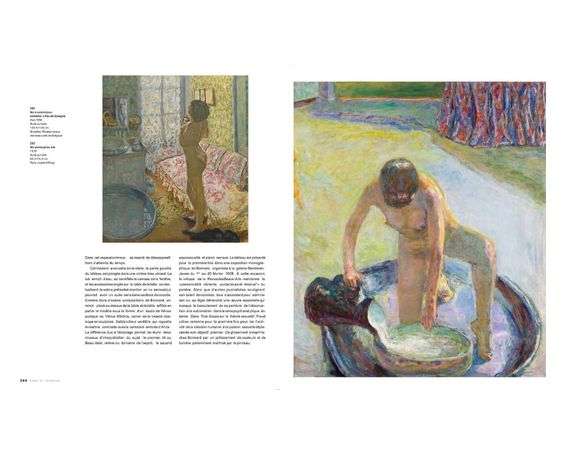 Книга про художників, П'єр Боннар Caspar Pierre Bonnard живопис книги для художників | Зображення 2