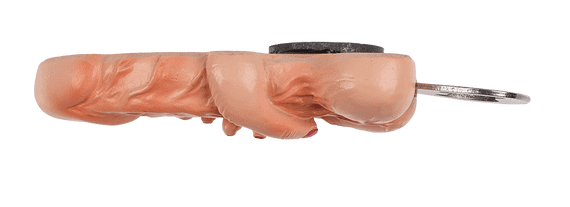 Открывалка Bottle Opener Willy With Hand, 13 см Sex Aura | Зображення 1