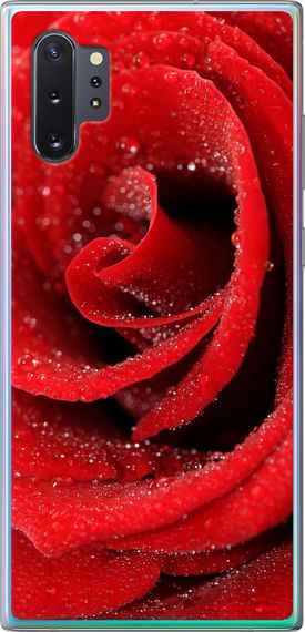 Чехол на Samsung Galaxy Note 10 Plus Красная роза "529u-1756-17620"