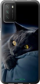 Чохол на Xiaomi Poco M3 Димчастий кіт "825u-2200-2448"