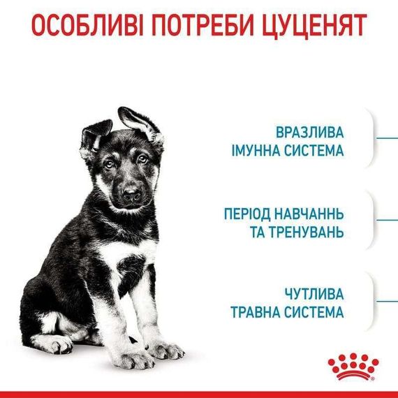 Сухий корм Royal Canin MAXI PUPPY для цуценят собак великих порід 1 кг | Зображення 3