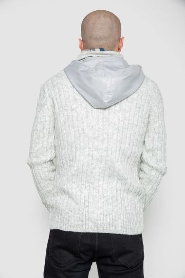 Кофта чоловіча на блискавці з капюшоном, колір світло-сірий, 214R10635 | Зображення 3