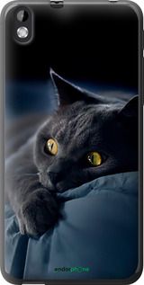 Чохол на HTC Desire 816 Димчастий кіт "825u-169-2448"