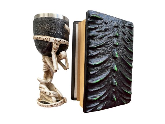Подарунковий набір Келих 3D Скелет на Колені та Блокнот 3D «Око Лісового Дракона» | Зображення 1