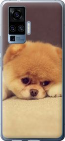 Чехол на Vivo X50 Pro Boo 2 "890u-1956-17620"