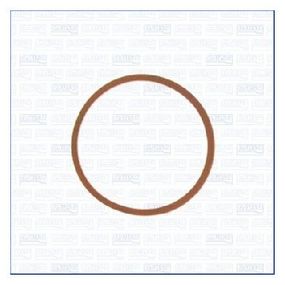 Прокладка впускного коллектора BMW 1/3/5/7/X3/X5/X6 2.0-3.0 D 98-, Ajusa, 13148400,