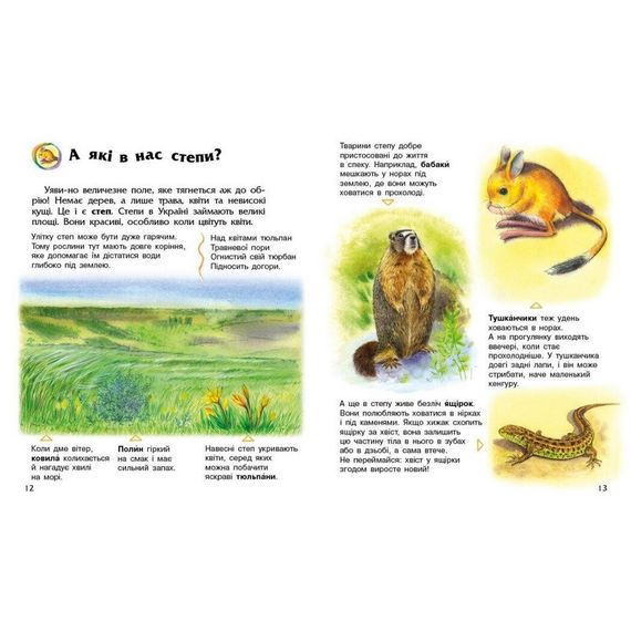 Дитяча книжка "Енциклопедія дошкільника. Україна" 614044 | Зображення 2