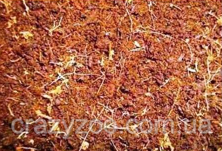 Субстрат для тераріуму Sera Reptil Coco Soil 8 л 44006-01 | Зображення 1