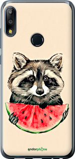 Чохол на Asus Zenfone Max Pro M2 ZB631KL Єнотик з кавуном "4605u-1641-2448"