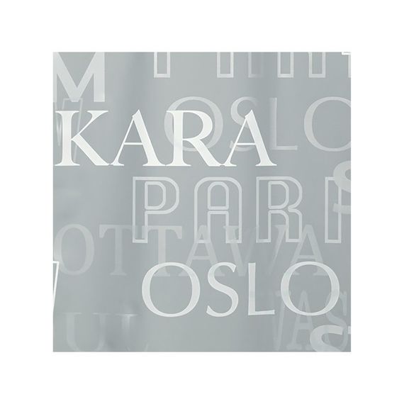 Шторка для ванной и душа Spirella Cities 180x200 см, водоотталкивающая PEVA, 10.13044 | Зображення 1