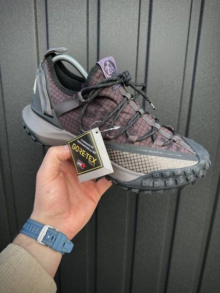Кросівки Nike ACG Mountain Fly сірі