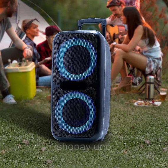 Акустическая переносная колонка ZXX-7575 300 Вт аккумуляторная с микрофонами 80х39х33 см | Зображення 6
