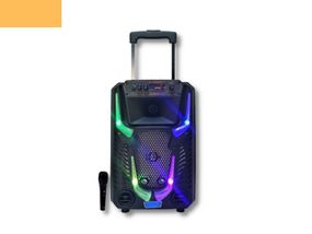Портативная колонка XPRO GZ-8912 чемодан  30Вт, USB, SD, FM радио, Bluetooth, 1 микрофон, ДУ (MER-15720)