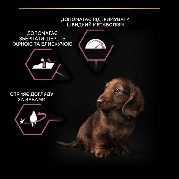 Сухий корм Purina PRO PLAN Small&Mini Puppy для цуценят собак дрібних порід із чутливою шкірою, лосось 3кг | Зображення 6