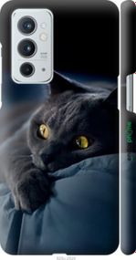 Чохол на OnePlus 9RT Димчастий кіт "825m-2520-2448"