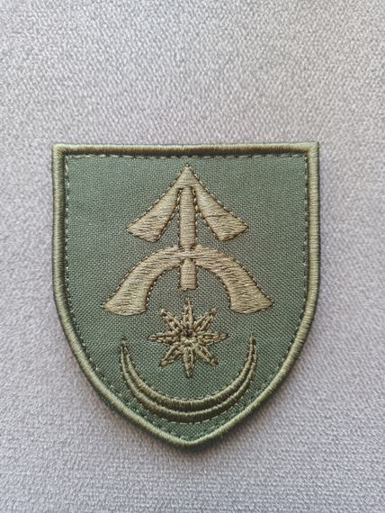 Шеврон 31 ОМБР