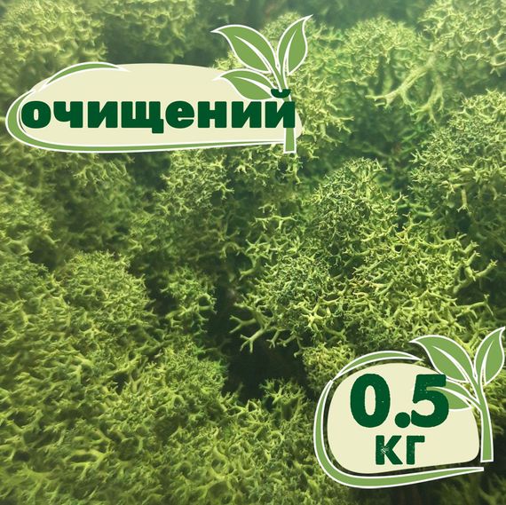 Очищений стабілізований мох ягель Зелений темний 0,5 кг