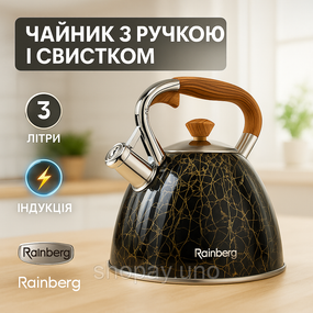 Обычный чайник со свистком Rainberg RB-2311 3л, Нержавеющие чайники со свистком Чайник 3 л DU-62