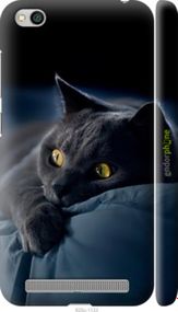 Чохол на Xiaomi Redmi 5A Димчастий кіт "825m-1133-2448"