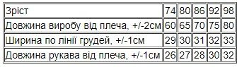 Комбінезон ясельний для хлопчика Носи своє 74 Синій (p-13114-146150) | Зображення 6