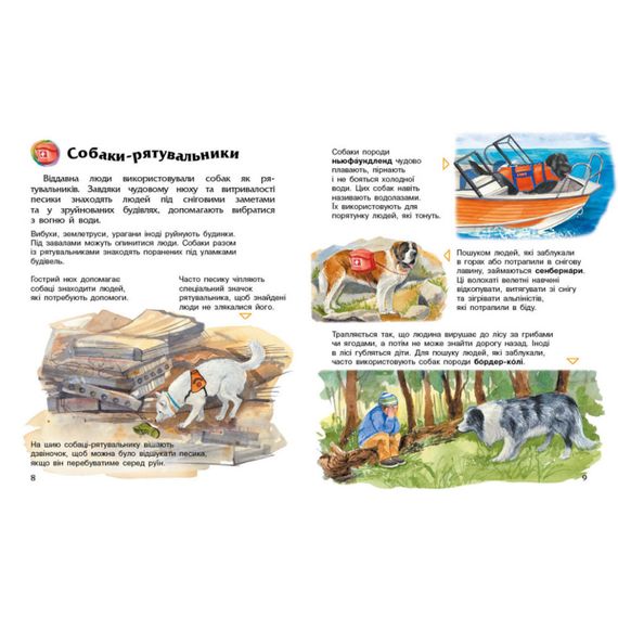 Энциклопедия дошкольника Собаки 614035 для самых маленьких | Зображення 1