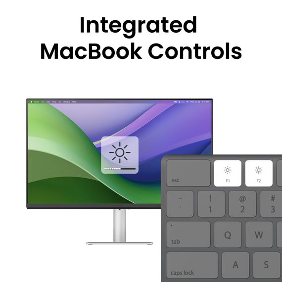 TFT 31.5" BenQ MA320U, IPS, 4K, 2хHDMI, USB-C, HAS, Pivot, кол., сріблясто-сірий | Зображення 2