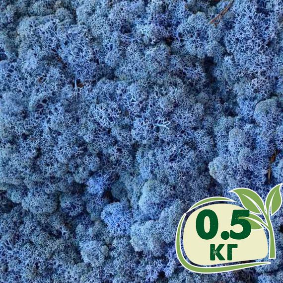 Стабілізований мох ягель Лавандовий 0,5 кг
