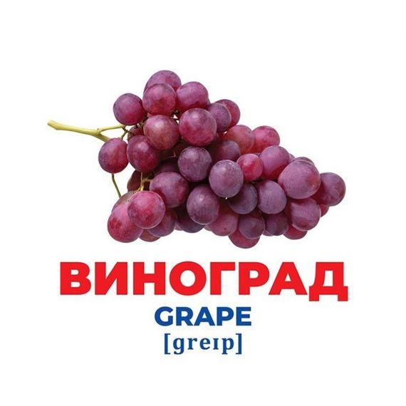 Набір розвиваючих карток Геній з пелюшок "Фрукти та ягоди" Ранок 10107195У, 17 карток | Зображення 2