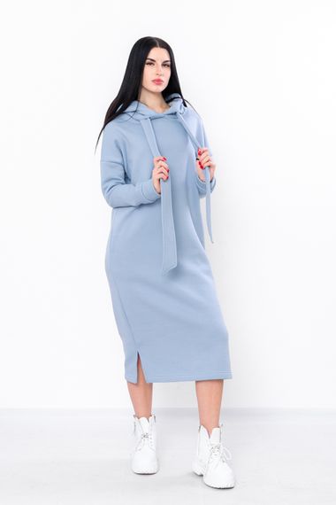 Сукня жіноча Носи своє 50 Блакитний (p-7470-145093) | Зображення 1