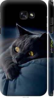 Чохол на Samsung Galaxy A7 (2017) Димчастий кіт "825m-445-2448"
